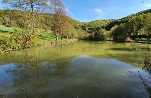 Description de l'image