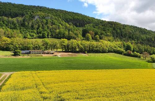 Description de l'image