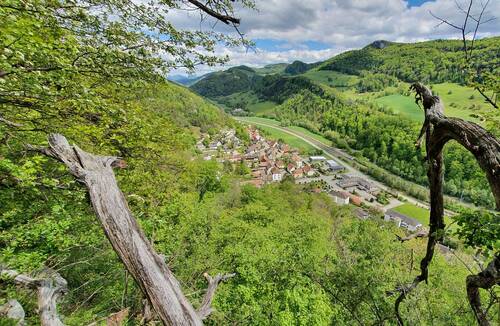 Description de l'image