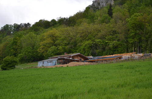 Description de l'image