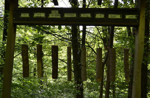 Description de l'image