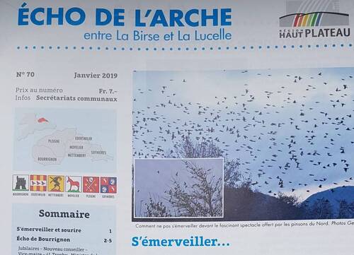 écho de l'arche